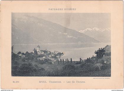 Spiez - Thunersee - Lac de Thoune - Large print