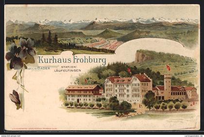 Lithographie Läufelfingen, Kurhaus Frohburg und Gebirgspanorama