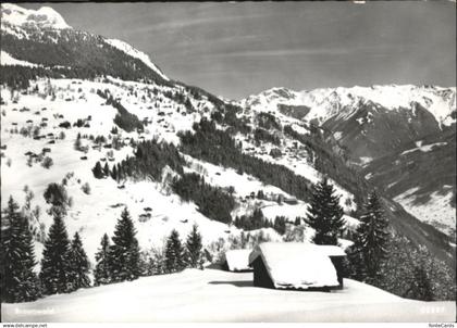 10803029 Braunwald GL Braunwald  *