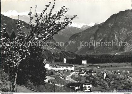 12232589 Cazis mit Ringelspitz Baumbluete