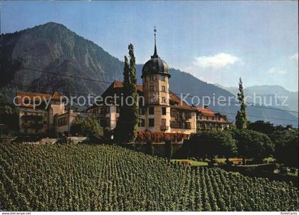 12583109 Zizers St Johannesstift Weinberge Alpen