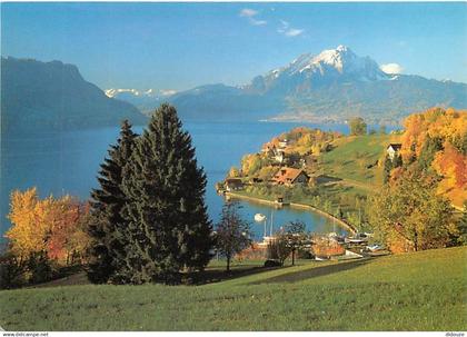 Suisse - LU Lucerne - Hertenstein-Weggis - Pilatus - Vierwaldstattersee - CPM - Carte Neuve - Voir Scans Recto-Verso