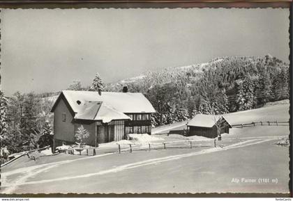 11290112 Goldingen Alp Farner