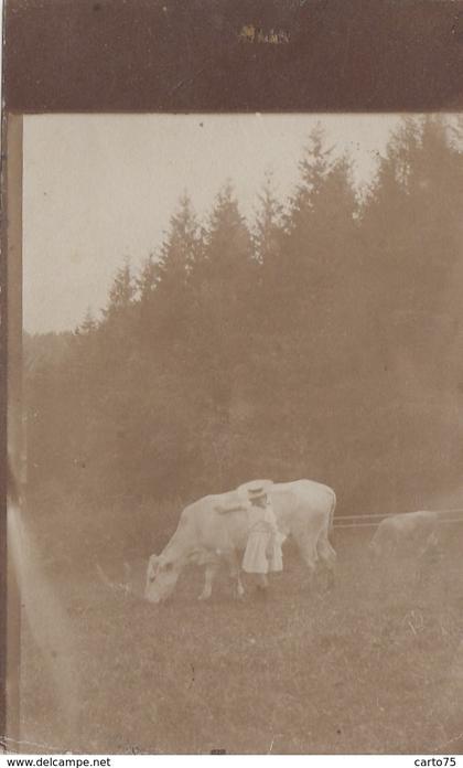 Suisse - Saint-Gall - Carte-Photo - Fillette dans un champ avec vaches brunes des Alpes