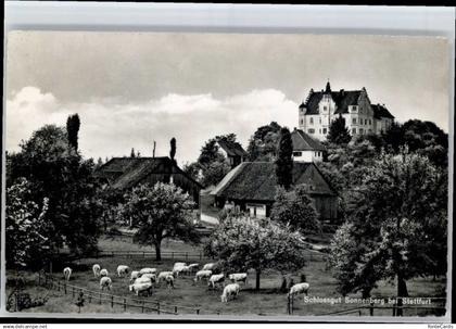 10805221 Stettfurt Stettfurt Schloss Sonnenberg x