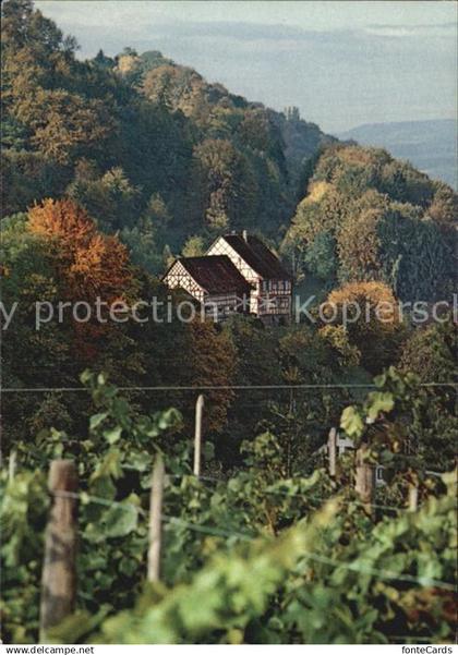 12590865 Salenstein TG Hinterburg Salenstein