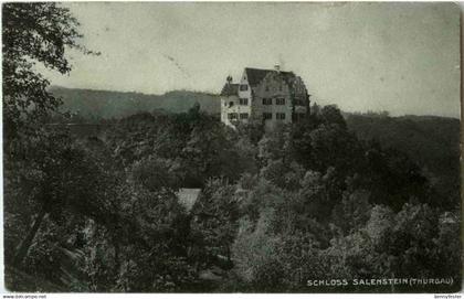 Schloss Salenstein