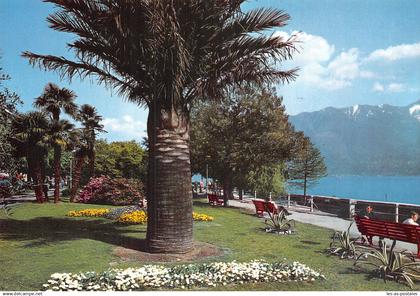 SUISSE TI TESSIN LOCARNO