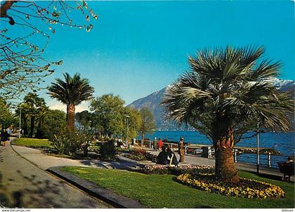 Suisse - TI Tessin - Locarno - Lago Maggiore - Giardini lungolago - Lac Majeur - Jardins au lac - CPM - Carte Neuve - Vo