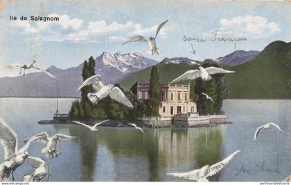 SUISSE - Ile de Salagnom - colorisé - pigeons - Carte Postale Ancienne