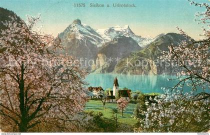 13784456 Sisikon Vierwaldstaettersee mit Urirotstock Sisikon