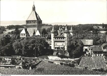 11654824 Vufflens-le-Chateau Panorama