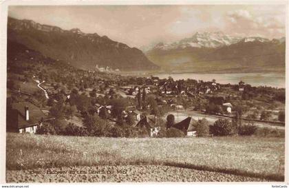 13964500 Blonay-Saint-Legier_Blonay-sur-Vevey_VD Panorama