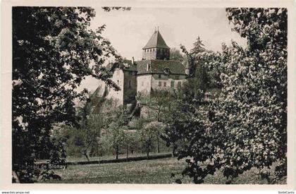 13990563 Blonay-sur-Vevey_Blonay-Saint-Legier_VD Chateau de Blonay