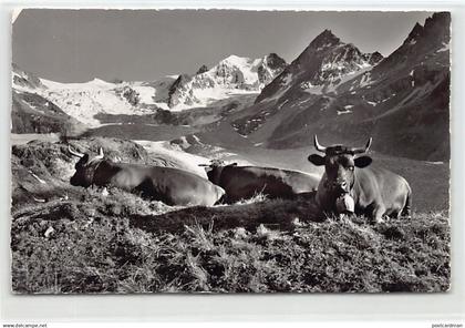 Moiry, Alpage de Châteaupré (VD) Grand Cornier - Pointes de Mourti - Pointe de Moiry - Ed. Gyger & Klopfenstein 18589