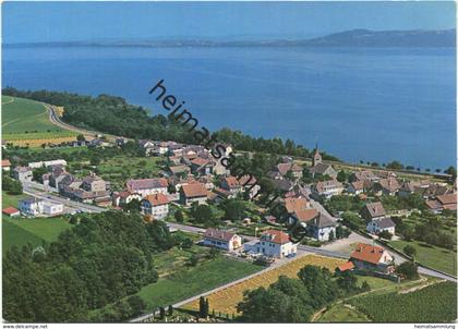 Concise - et le Lac de Neuchatel - Luftaufnahme - AK Grossformat - Edition Deriaz Baulmes gel. 1970