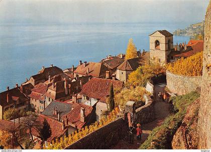 LE LAVAUX    ST SAPHORIN