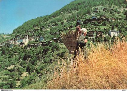 Suisse village d' iserables agriculture cueillette recolte femme avec hotte