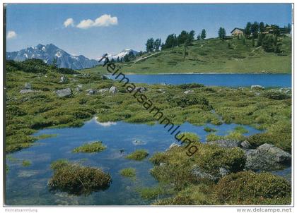 Nendaz - Le petit lac - Restaurant du Tracouet - Ansichtskarte Großformat