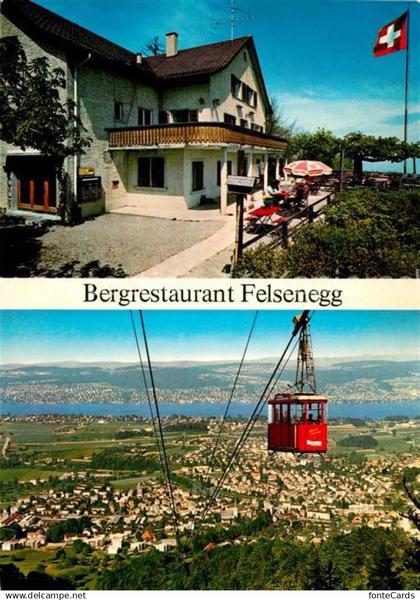 13134829 Stallikon Bergrestaurant Felsenegg Luftseilbahn