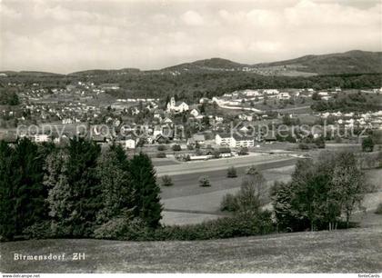 13769781 Birmensdorf Panorama