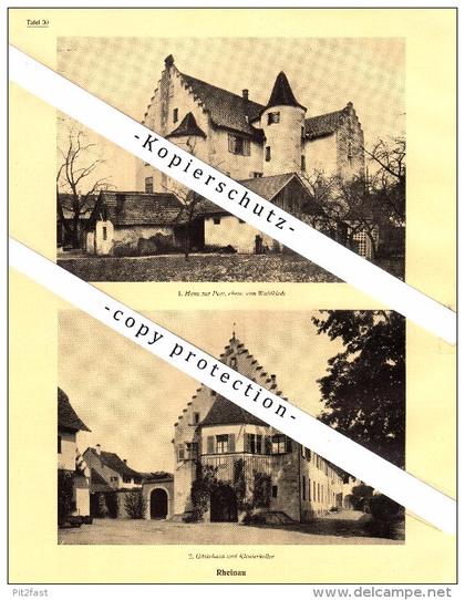 Photographien / Ansichten , 1927 , Rheinau , Regensberg , Bülach , Dielsdorf , Prospekt , Architektur , Fotos !!!