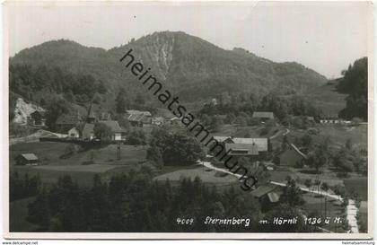 Sternenberg mit Hörnli - Foto-AK  - gel. 1948